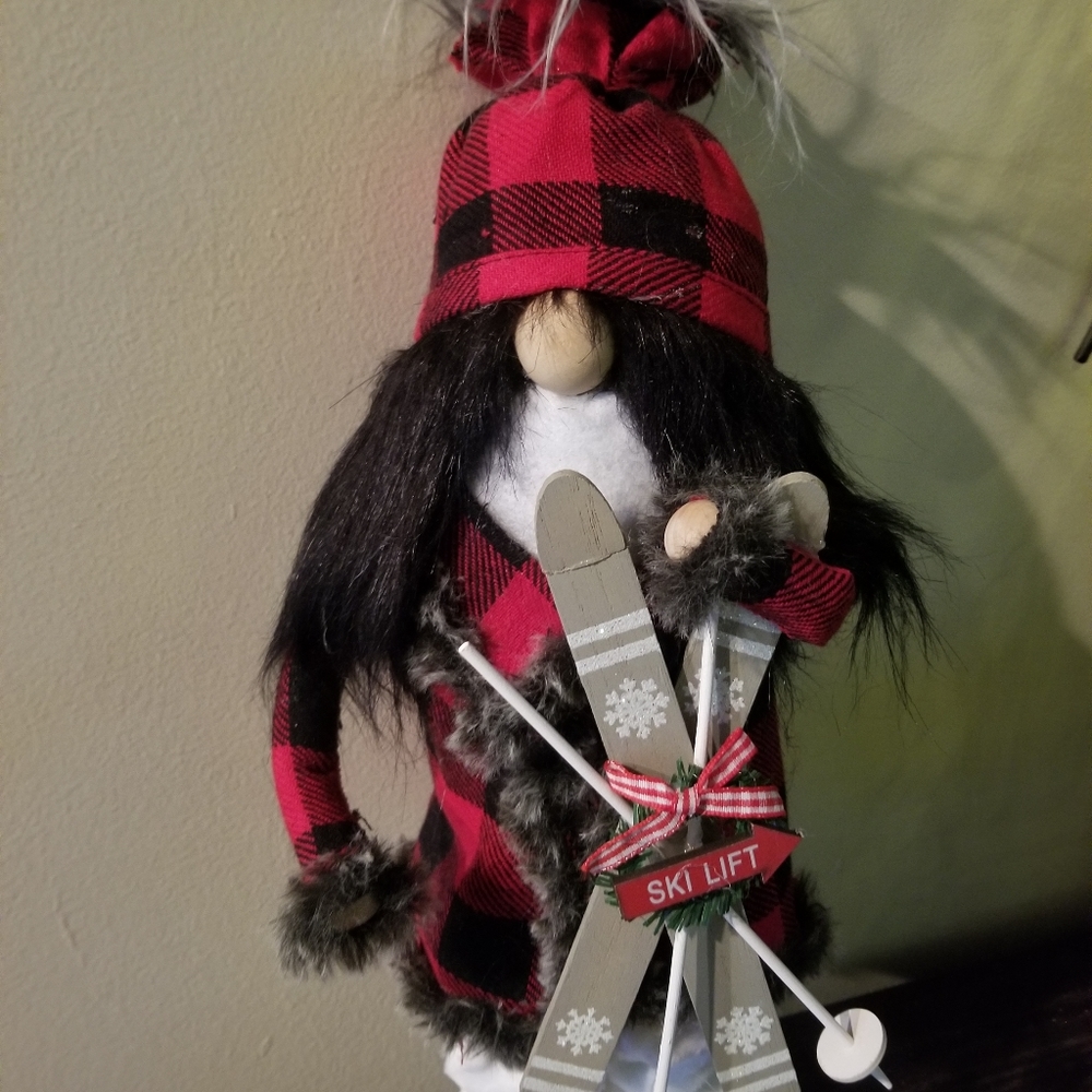 Cute skiing Gnome
